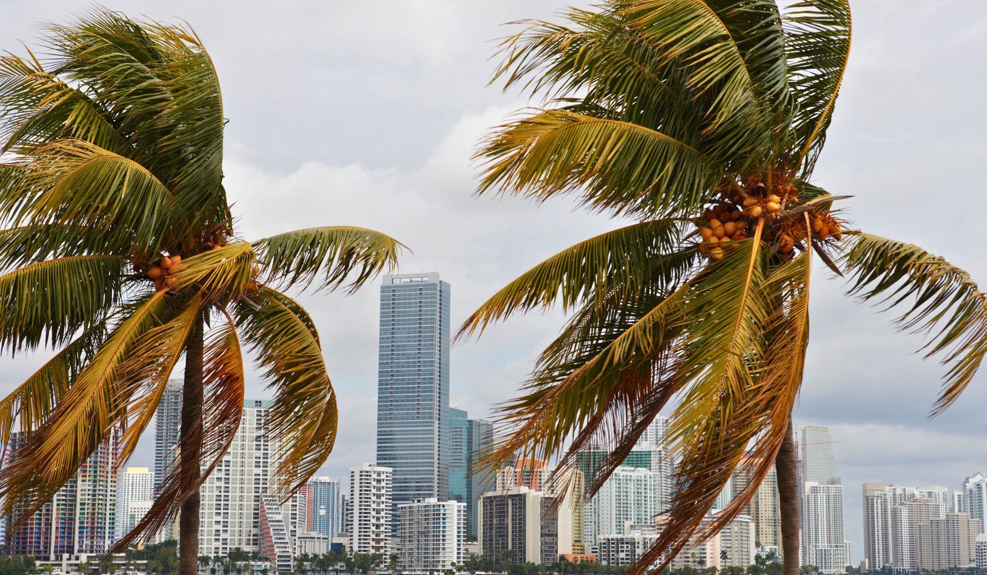 The Impact of Hurricanes on Florida Real Estate: 2025 Update