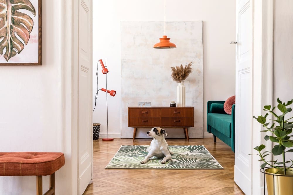 Buying a Condo vs. Buying a Townhome