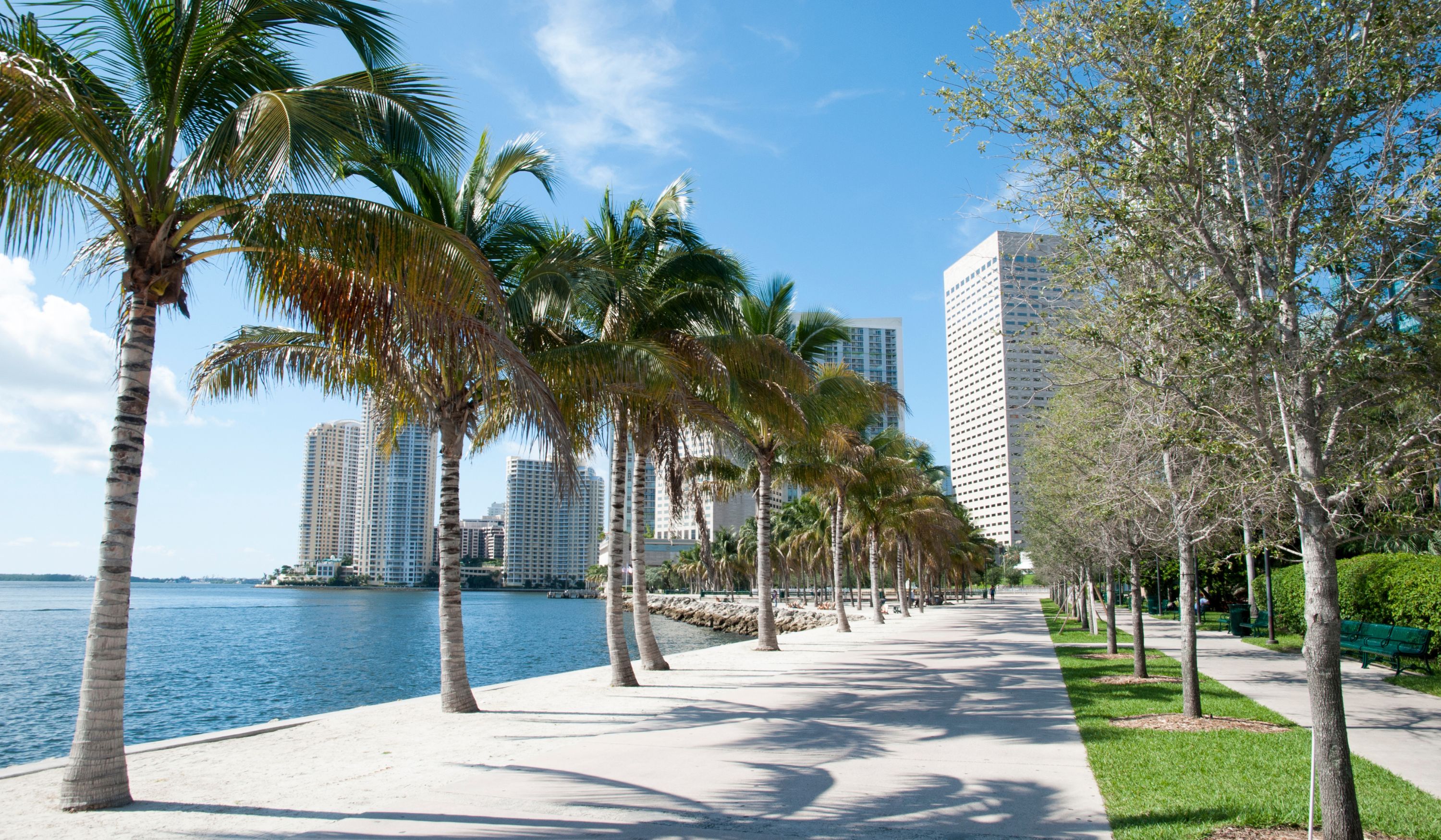 Year-to-Date South Florida Real Estate Market Report 2023: October Update