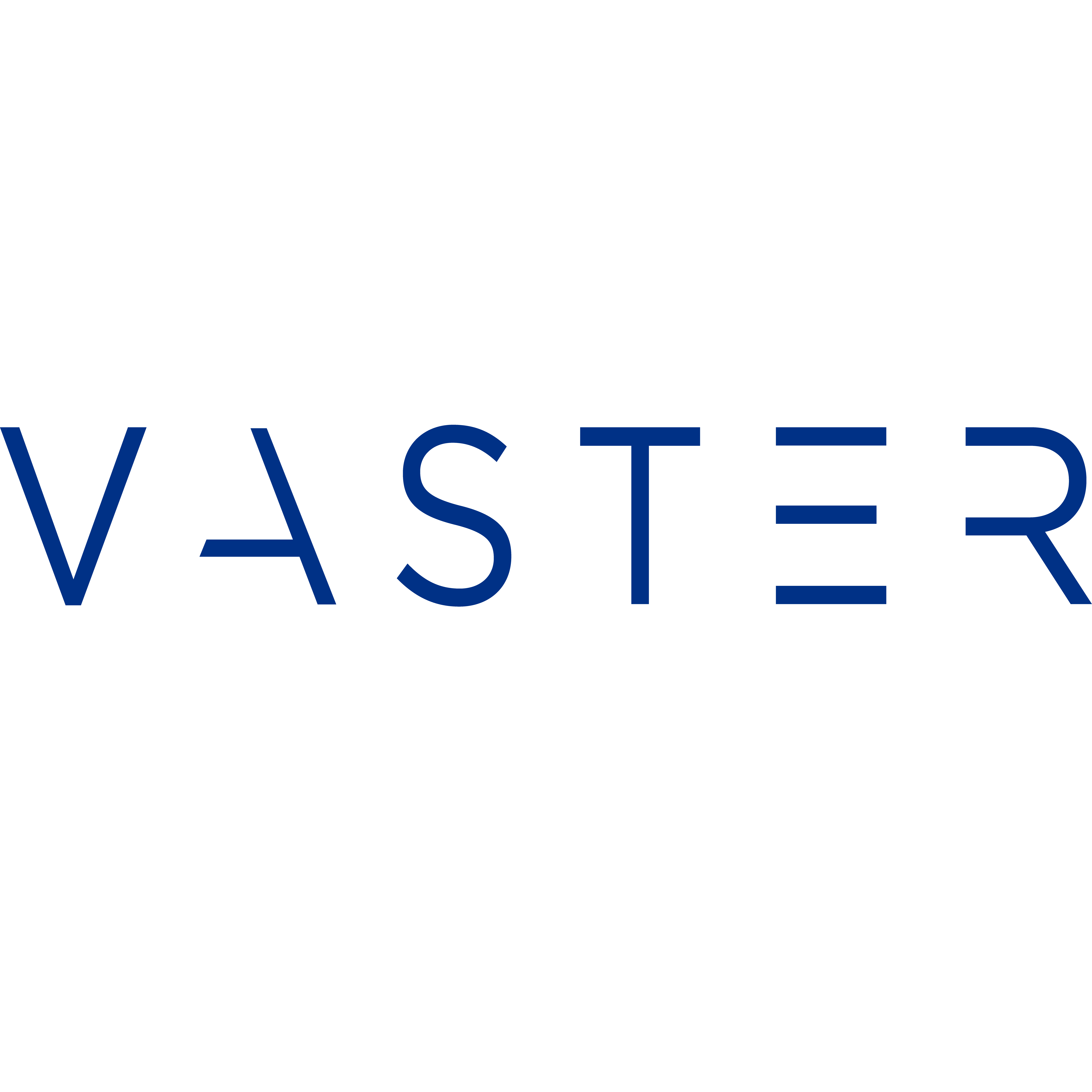 Vaster logo